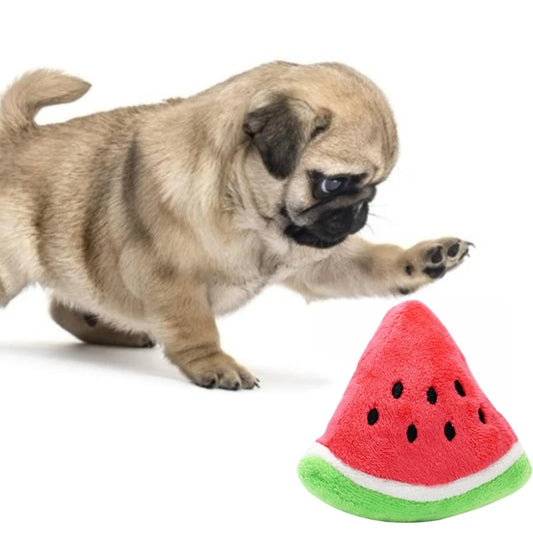 MelonMunch Plush™ | Watermelon Squeaky Dog Toy | Dog Paw Clothing