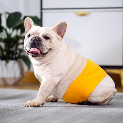 Washable Pet Dog Diapers Males Absorbent Adjustable Puppy Big dog Physiological Pants for Dogs Reusable Pets Dogs Panties Shorts