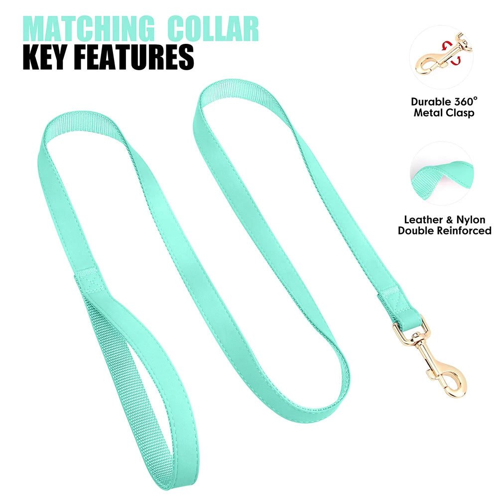 the MY NAME MY PAWS CUSTOM SET - Personalized Dog Collar/Leash Set, Custom PU Leather Dog Buckle Collars/Necklace, Pet Walking Leash for Small/Medium Dogs, Pitbull