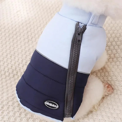 The Dog's Clothes Are A Small Cotton Vest with A Zipper, Similar To A Yorkshire Terrier or Dachshund Pet Clothing.