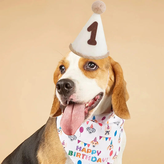강아지 모자 Pet Birthday Hat Dog Hat Non-woven Fabric Number Hats Headband Felt Digital Birthday Celebration Hat Шапка Для Собак