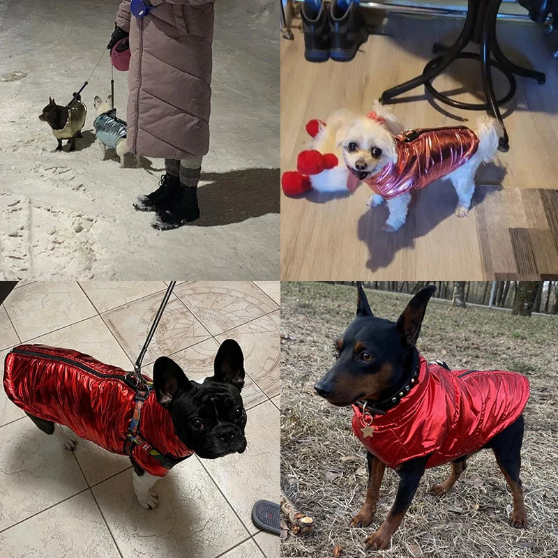 Waterproof Pet Jacket Winter Warm Dog Clothing Outdoor High Neck Vest Coat With D-ring For Small Medium Dogs Cats Chihuahua