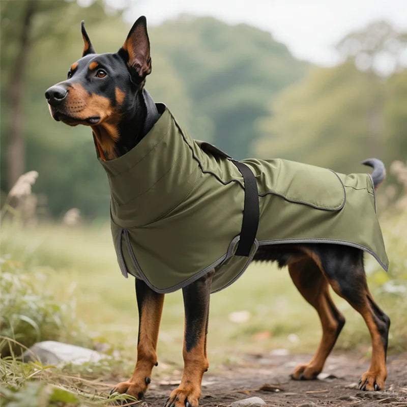 the HYDROHOUND WEATHER GUARD - Large Dog Pet Windbreaker, Dog Raincoat, Pet Storm Coat, Waterproof/Outdoor, Pet Outdoor Waterproof Clothes, Pets Raincoat Accessories
