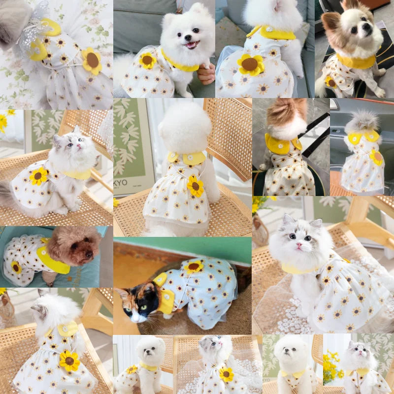 Dog Princess Dress Cute Pet Dog Mesh Dress Kitten Puppy Pet Skirt Dog Summer Dress Bow Lace Korean Poodle Chihuahua Dog Clothes