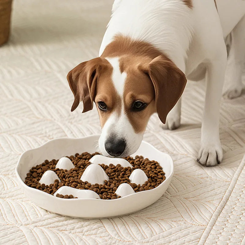 Slow Feeder Dog Bowl Large, Non-Slip Pet Food Dish for Medium Giant Dogs Like Labrador To Prevent Choking & Bloat