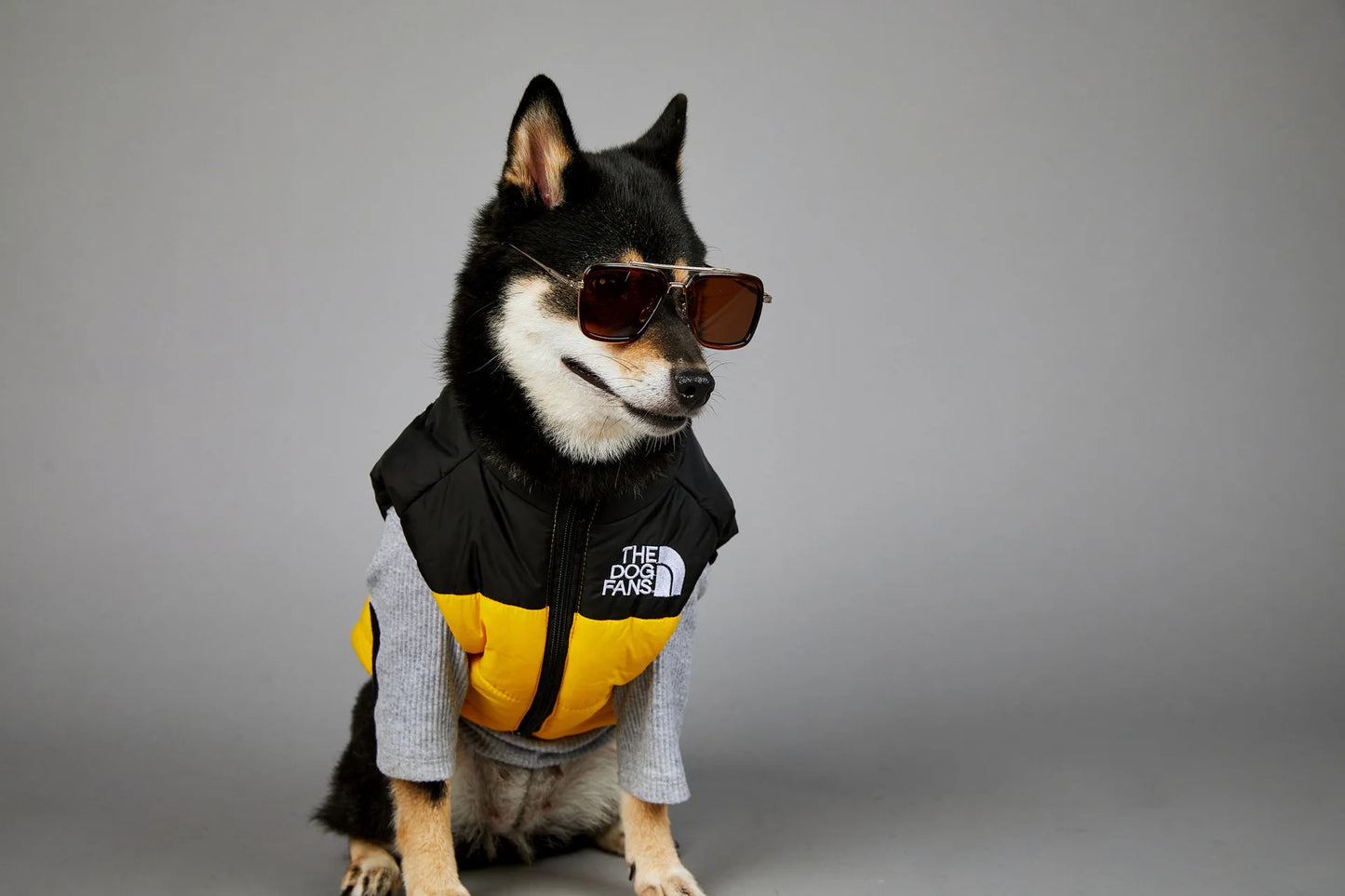 Dog Fans Punch Large Dogs Winter Warm Raincoat Anti Pet Cotton Clothing Windproof Rainproof Dog Coat