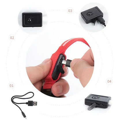 the LUMAGLOW ANTI-LOST COLLAR - LED Glowing Dog Collar, Adjustable Flashing Rechargeable Luminous Collar, Night Anti-Lost Dog Light Harness for Small Dog, Pet Products