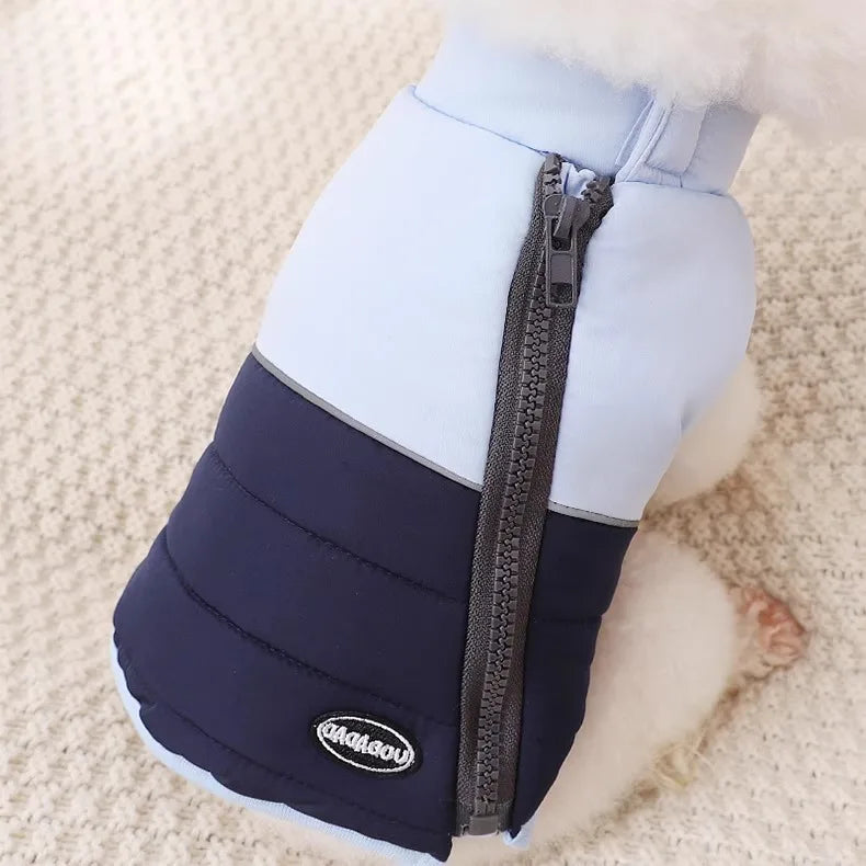 The Dog's Clothes Are A Small Cotton Vest with A Zipper, Similar To A Yorkshire Terrier or Dachshund Pet Clothing.