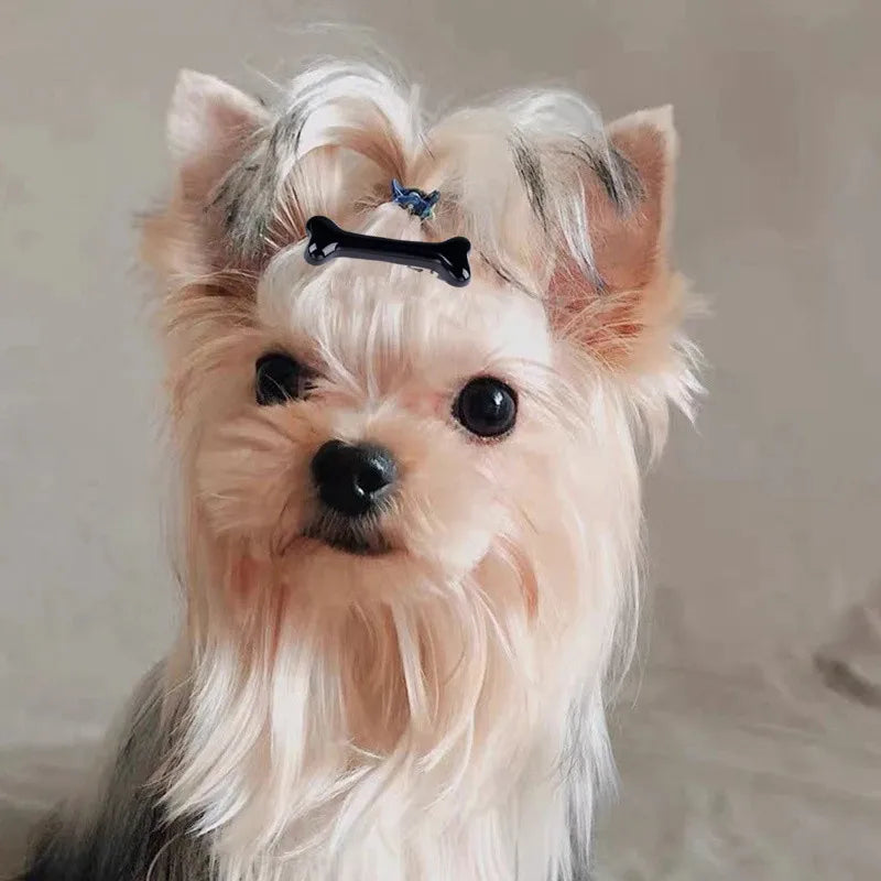 the PAWCHARM BONE HAIR CLIP - New Dog Hairpin Puppy/Kitten Bone Hair Clips, Cute Duckbill Clip, Pet Hair Accessories, Pet Hair Grooming, Dog Accessories