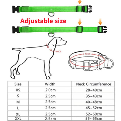 the LUXEGLOW LED SAFTERY COLLAR - USB Charging Glowing Dog Collar with Pendant, Detachable Luxury LED Light, Bright for Small Dogs/Cats, Night Safety Collar