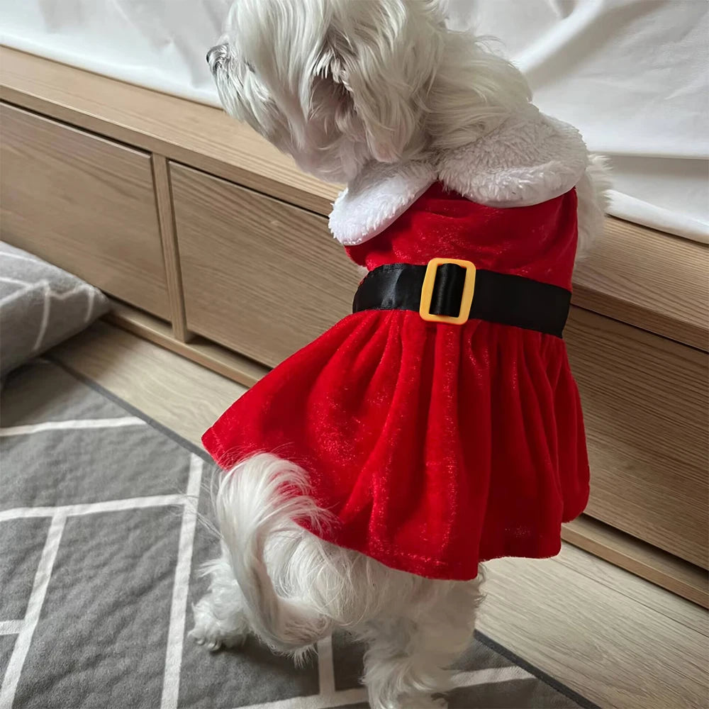 Christmas Dog Skirt Cute Pet Santa Claus Dress Costume for Small Medium Dogs Cat Puppy Cosplay Clothes Pug New Year Party Gifts