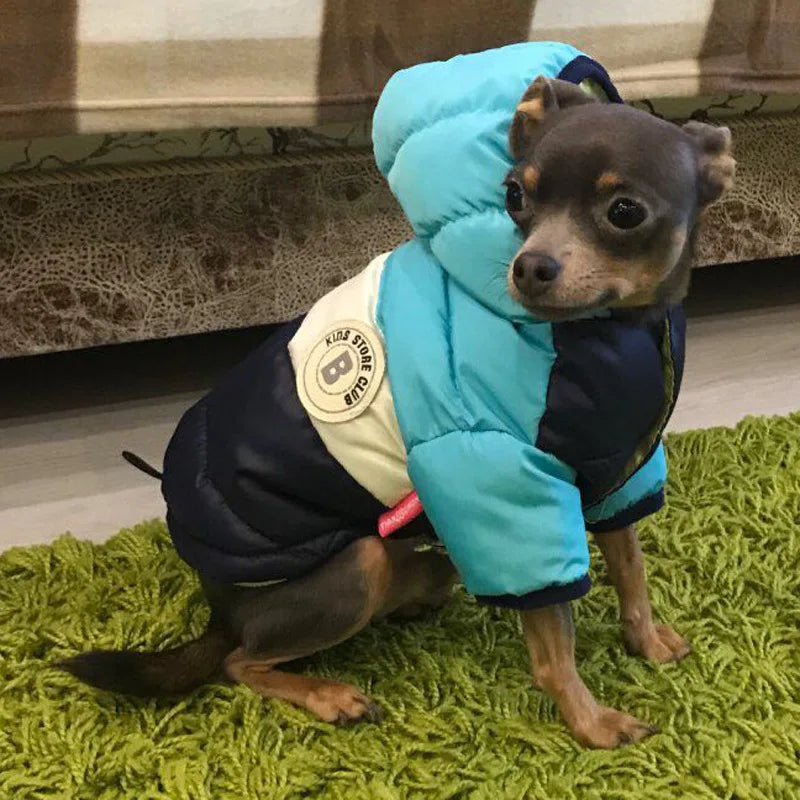 Dog Jacket Waterproof Luxury Dog Clothes Pet Down Cotton Vest Chihuahua French Bulldog Winter Dog Coat Puppy Warm Dog Costume