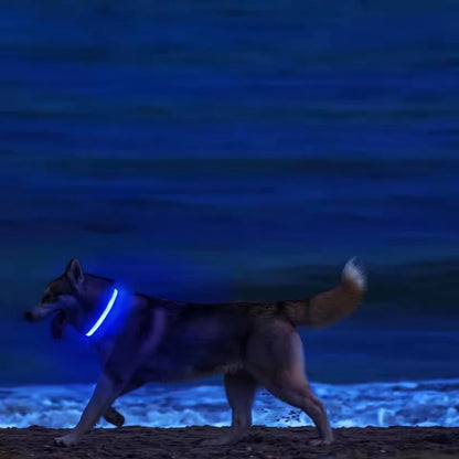 the GLOWTRAIL NIGHT COLLAR - BOOTEELY Nylon LED Night Safety Flashing Glow-in-the-Dark Dog Collar, Dogs Luminous Fluorescent Pet Dog Collar