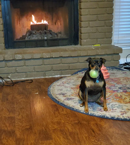 CAITEC Dog Toy Amazing Squeaker Ball Durable Floatable Springy Bite Resistant Best for Tossing Chasing Foraging Medium Large Dog