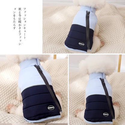 The Dog's Clothes Are A Small Cotton Vest with A Zipper, Similar To A Yorkshire Terrier or Dachshund Pet Clothing.