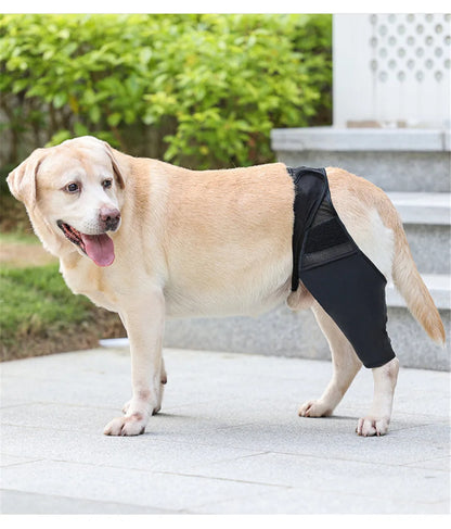 Dog Knee Brace Injury Recovery Fixed Support Brace Pet Leg Pain Relief Joint Wrap Brace For Elderly Disabled Injured Dogs