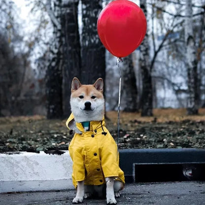 the PENNYWISE COAT - Fashion Raincoat for Dogs, Waterproof Raincoat Jacket Coat, Windproof for Small/Medium/Large Dogs Pet Fashion Clothes