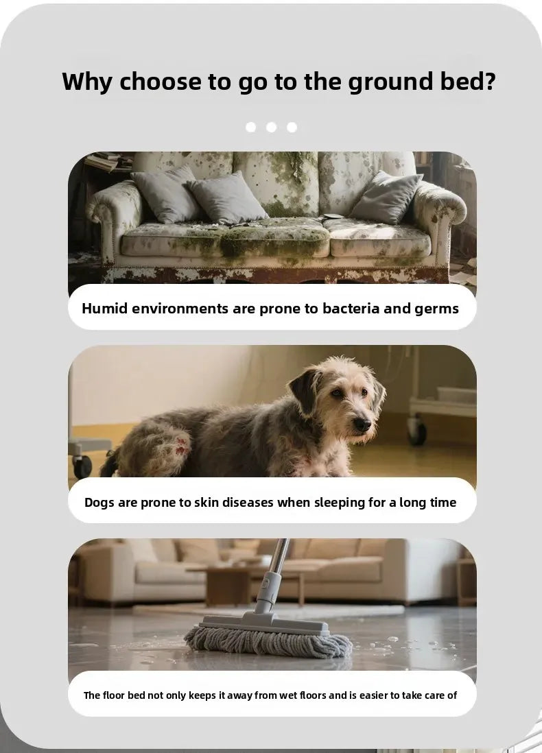 Dog camp bed summer kennel four seasons pet sofa off the ground moisture-proof medium and large removable dog bed