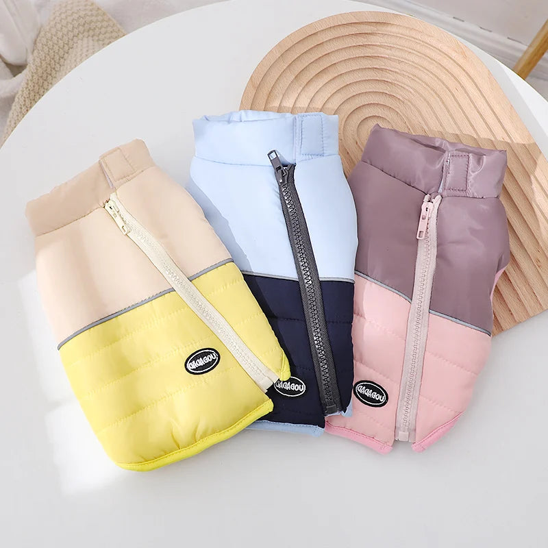 The Dog's Clothes Are A Small Cotton Vest with A Zipper, Similar To A Yorkshire Terrier or Dachshund Pet Clothing.