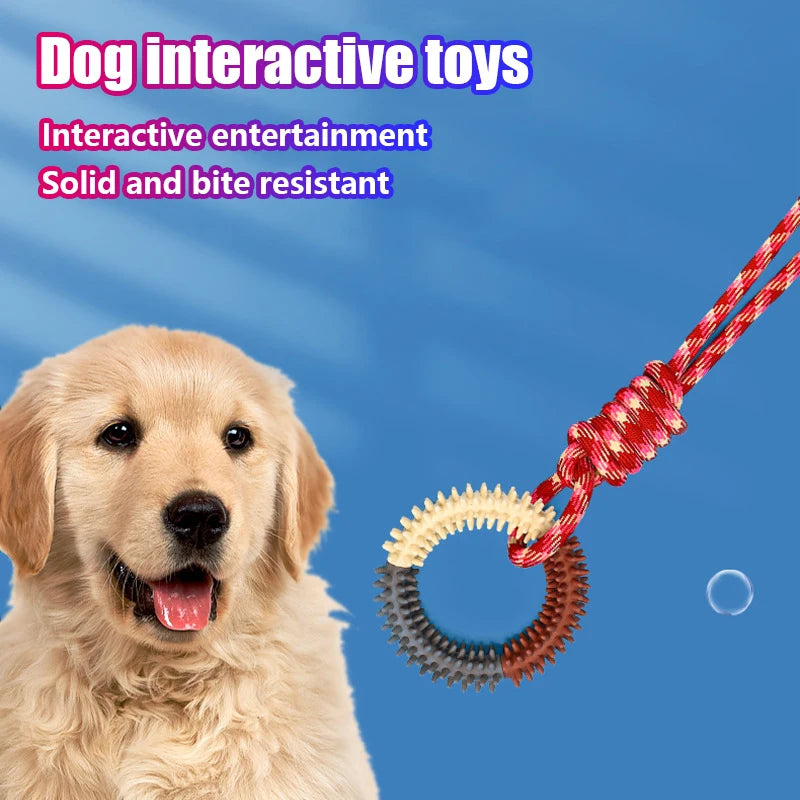 1PC Supet Interactive Training Pet Toy Ring Spiked Ring Dog Teeth Cleaning Pet Supplies Dog Teeth Grinding Durable toys