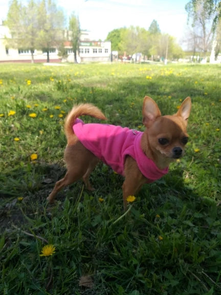 Dog Fleece Vest Chihuahua Winter Clothing For Small Dogs Warm Dachshund Dog Coat For Medium Bulldog Pitbull Maltese Dogs Jumpers