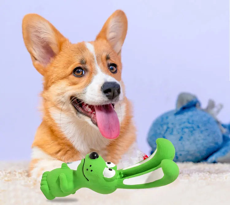 Latex Pet dog toys Squeaky Pets Chew Toys for Small Medium Dogs Bite Resistant Dog Cleaning Tooth Toys Pet Supplies