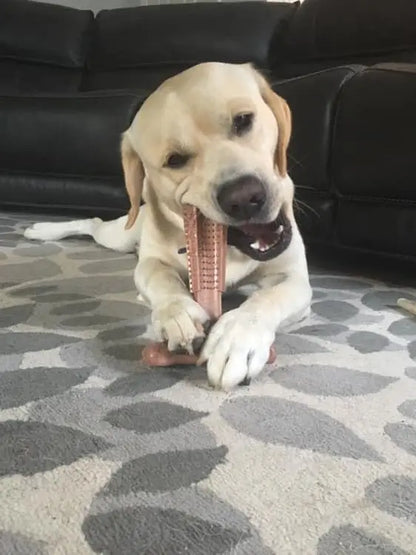 Dog Chew Toys Durable Oral Care Dog Chews Puppy Chew Toys Keep Teeth Clean for Mild Chewing and Teething Teeth Cleaning Toy