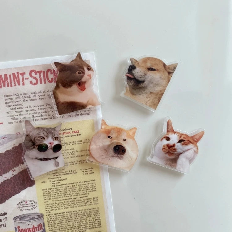 5pcs cute and Fun Cat Dog Refrigerator Magnets Creative Fridge Photo Message Magnet Decorative