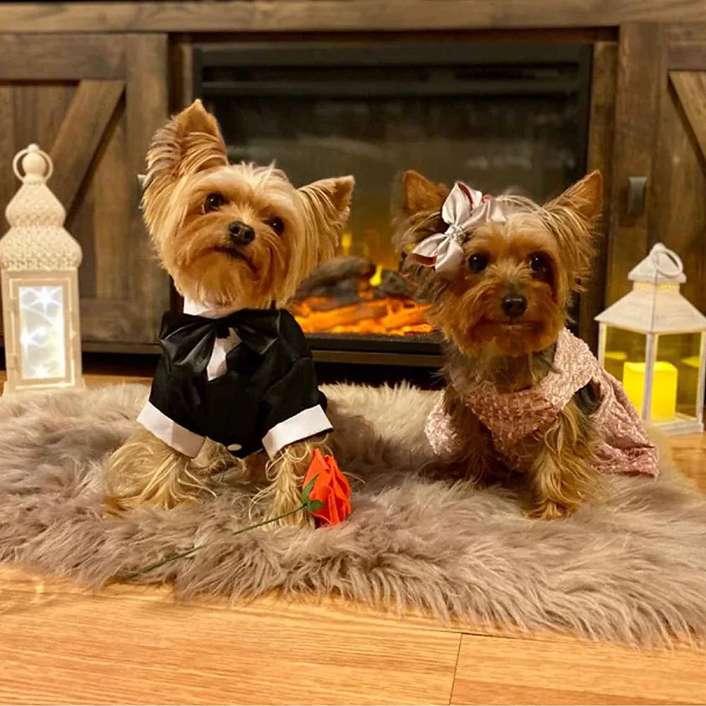 Dog Tuxedo Dog Suit Puppy Pet Tuxedo Wedding Party Costume Dog Prince Bow Tie Shirt Formal Dog Weeding Attire Dogs Cats Clothes
