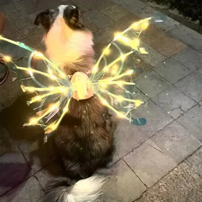 the GLOW WINGS - Dog Butterfly Wings, Pet Glowing Wings, Puppy Summer Clothes, Decorative Samoyed/Husky Medium Dogs