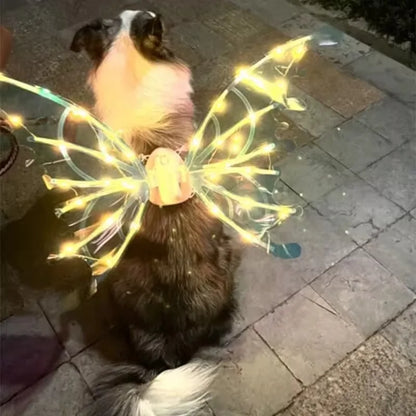 the GLOW WINGS - Dog Butterfly Wings, Pet Glowing Wings, Puppy Summer Clothes, Decorative Samoyed/Husky Medium Dogs