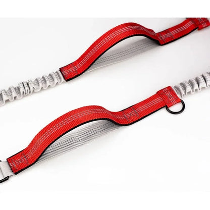 the RUNFLEX RETRACTABLE LEASH - Retractable Hands-Free Dog Leash for Running, Judge Leash, Large Dog Pet Supplies