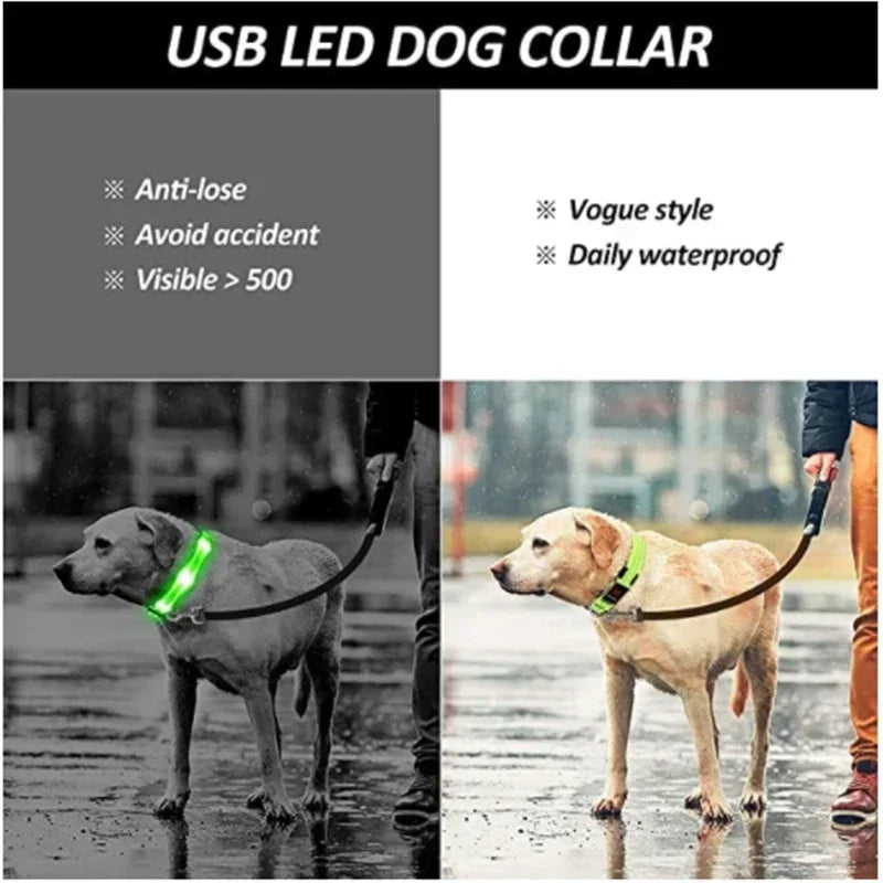 the LUMAGLOW ANTI-LOST COLLAR - LED Glowing Dog Collar, Adjustable Flashing Rechargeable Luminous Collar, Night Anti-Lost Dog Light Harness for Small Dog, Pet Products