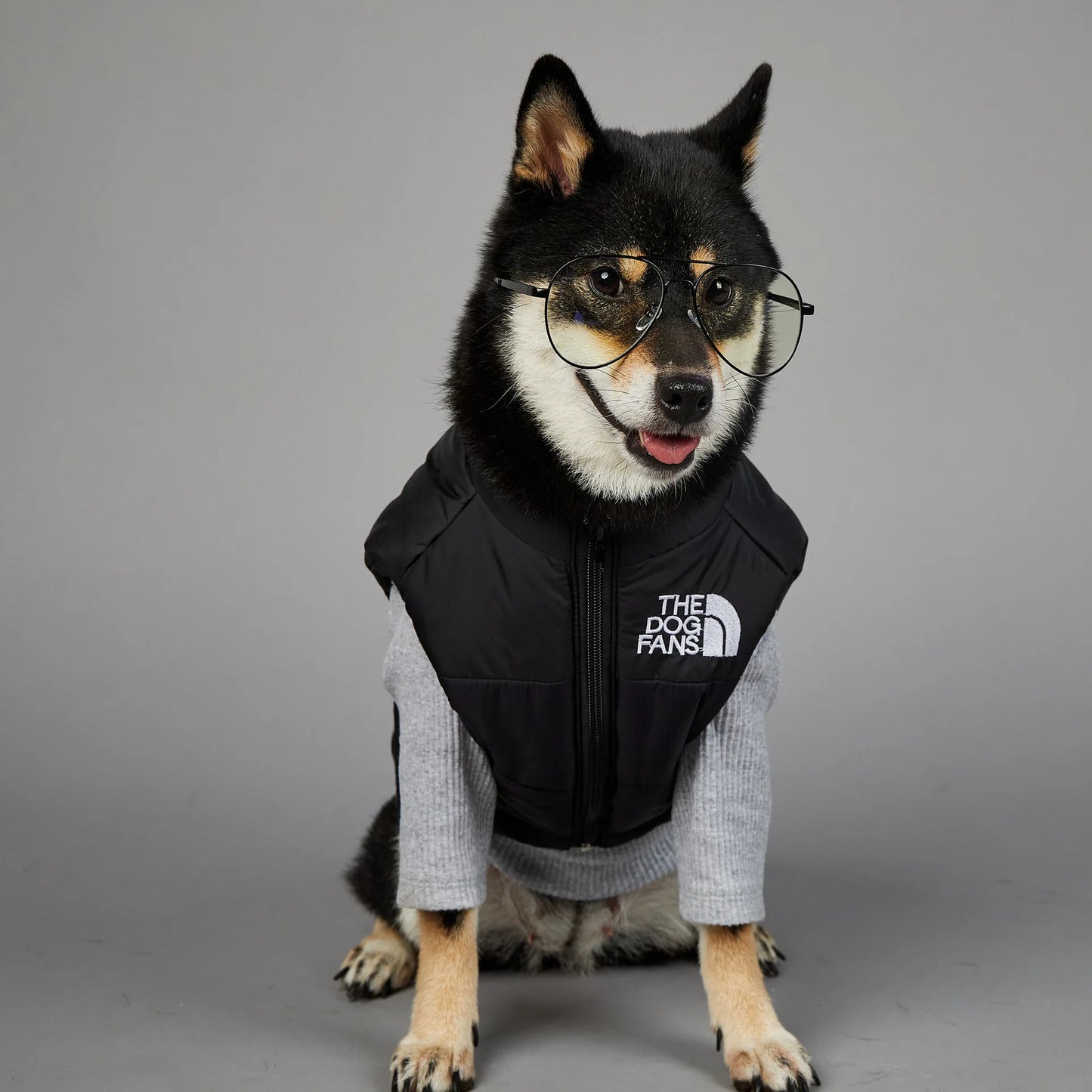 Dog Fans Punch Large Dogs Winter Warm Raincoat Anti Pet Cotton Clothing Windproof Rainproof Dog Coat