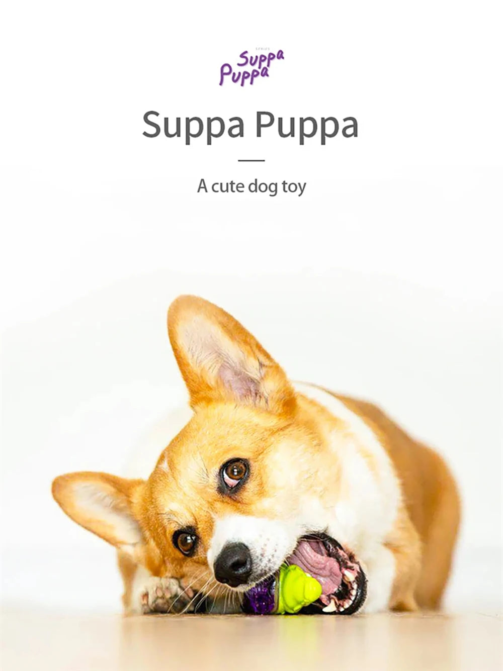 GIGWI Suppa Puppa Series Q Pet Toys Kitten Crocodile Fox Raccoon for Puppy Molar Sounding Toys Bite Resistance Dog Accessories