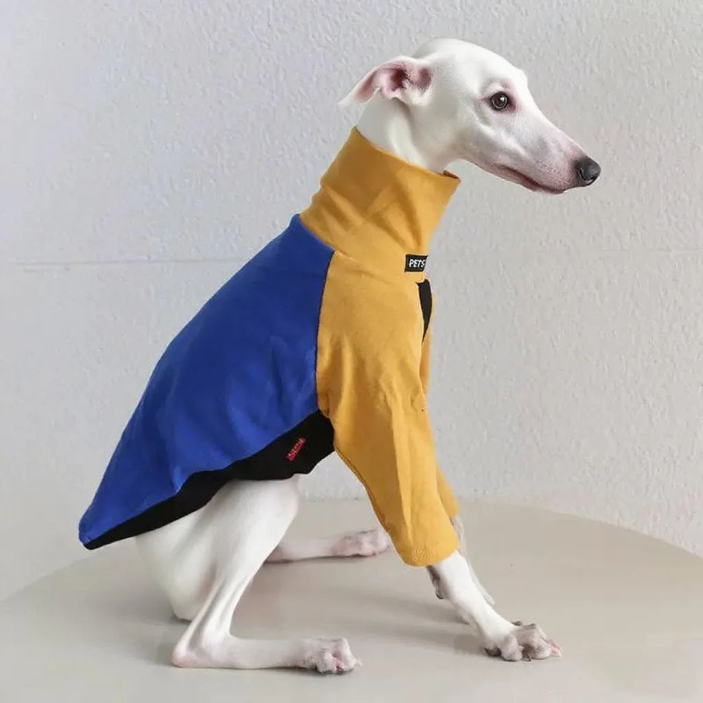 8colors Italian Greyhound Hound Two-Legged Clothes Fashionable Multicolor Soft Comfortable Elastic Fashion Patchwork Dog Clothes