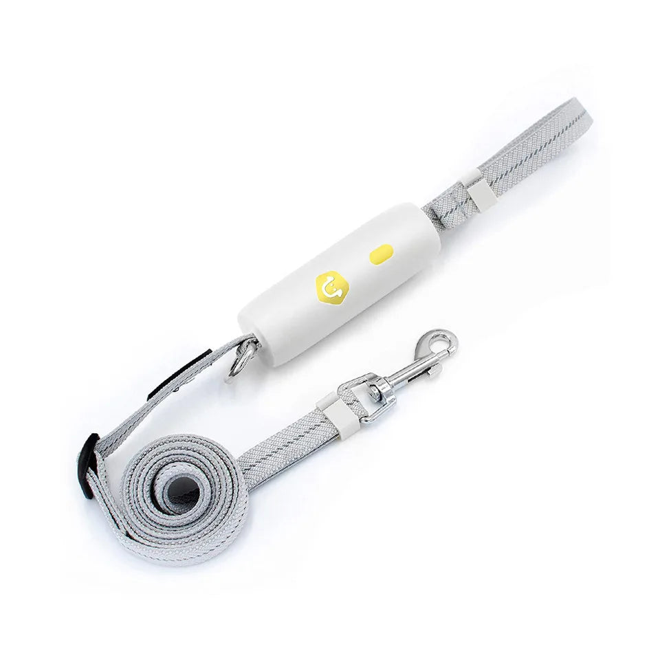 the SECUREWALK ANTI-LOST LEASH - New Anti-Lost Dog Leash, Explosion-Proof Dog Leash, Nylon Reflective Small/Medium Dog Leash for Walking Dogs, Outdoor Supplies