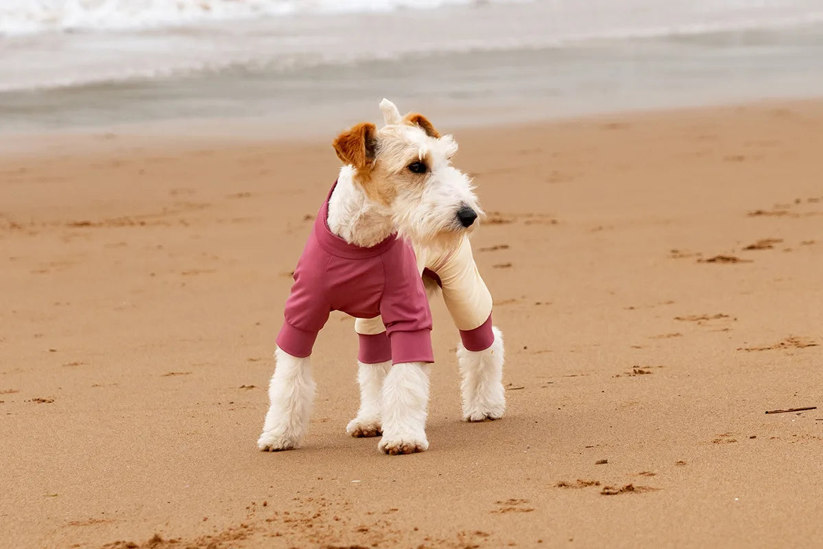 Summer Cooling Dog Vest Shirt UPF50+ Sun Protection Dog Jumpsuit Fast Drying Dirt-Proof Dog Clothing Soft Summer Outdoor Overall