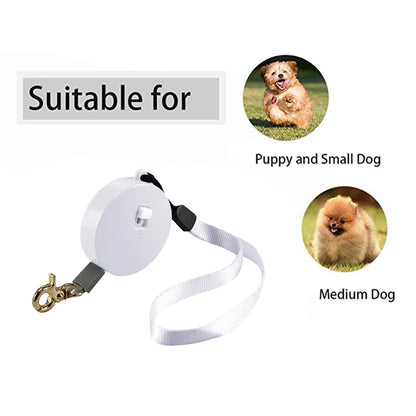 the FREESTRIDE RETRACTABLE LEASH - Retractable 2M Dog Leash, Automatic Freely Dog/Puppy/Cat Traction Rope, Belt Dog Leash