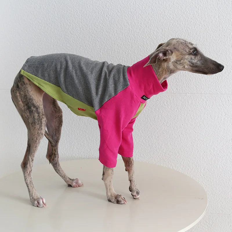 8colors Italian Greyhound Hound Two-Legged Clothes Fashionable Multicolor Soft Comfortable Elastic Fashion Patchwork Dog Clothes