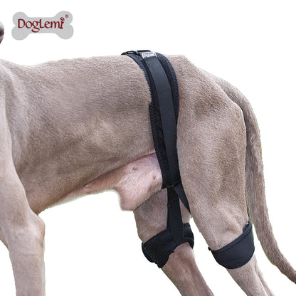 Pets Dogs High Quality Hind Leg Guard Recovery Orthodontic Band for Pet Dog Protective Hip Joint Correction Restore Pet Supplies