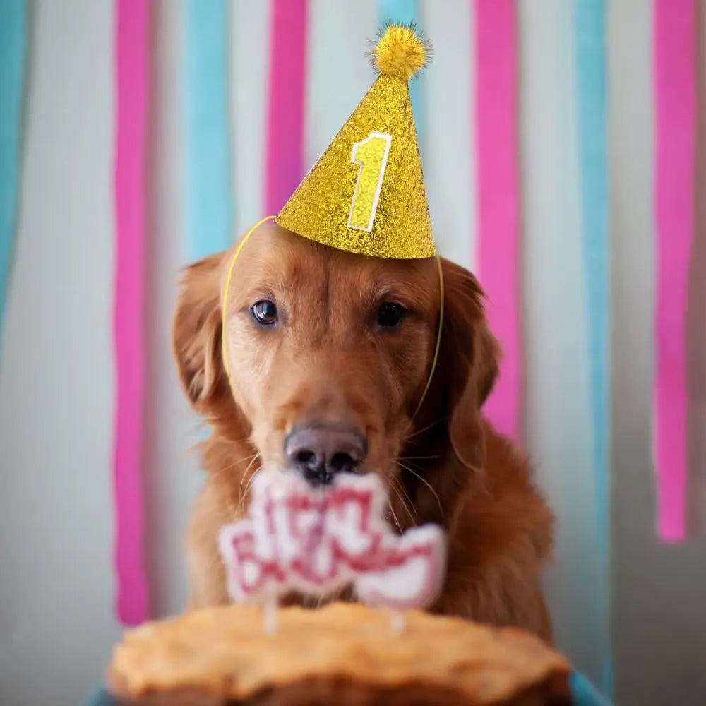 Cute Decorative Pet Birthday Hat Adjustable Foldable Dog Sparkling Hat with Ball Cat Headgear for Birthday