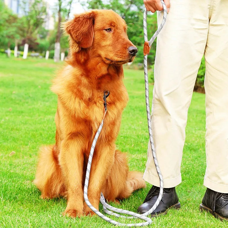 the ACTIVEGLOW HANDS-FREE LEASH - Dog Leash Hands Free Leashes for Dog Walking, Adjustable Dogs Leash, Reflective Dogs Chain Multi-Functional Traction Rope 230cm