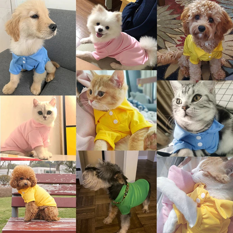 the CANDYPAW COOL TEE - Summer Pet Vest, 6 Candy Color Shirts, Puppy Breathable Solid Polo-Shirts, Chihuahua/Yorkie Fashion Vests, Dog Costume, Pet Clothing