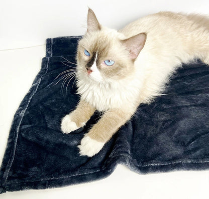 Soft Thickened Warm Dog Blanket, Washable Pet Sleeping Blanket, Cats Bed Mat Puppy Kitten Nest Pads Pet Accessories