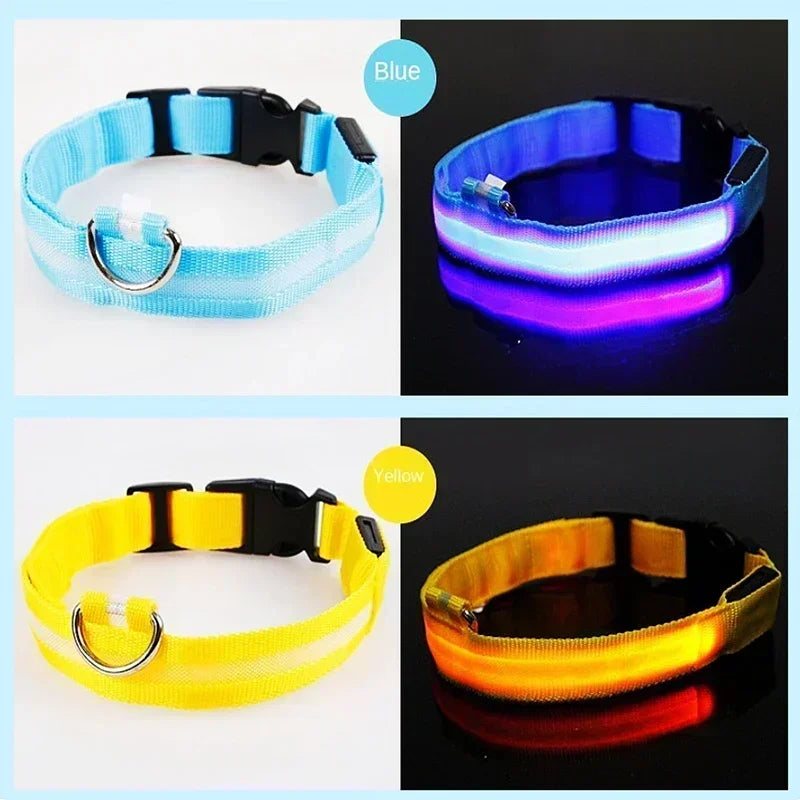 the LUMAGLOW ANTI-LOST COLLAR - LED Glowing Dog Collar, Adjustable Flashing Rechargeable Luminous Collar, Night Anti-Lost Dog Light Harness for Small Dog, Pet Products