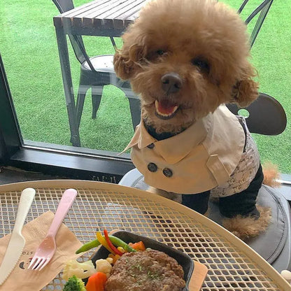 the SHERLOCK - Fashion British Style Dog Cloak, Windbreaker Corgi French Bulldog Pet Dog Bib, Pet Clothing Cape, Pets Costume Trench, Pet Supplies