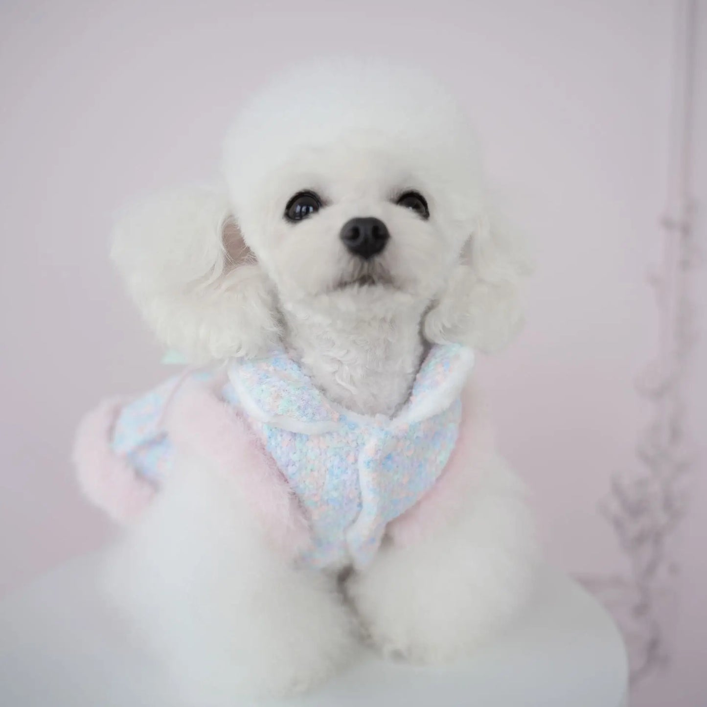 Pet Colorful Bow Set Skirt Autumn/Winter Bow Plush Coat Dress Warm Clothes Teddy Clothes Puppy Clothes for Small Dogs