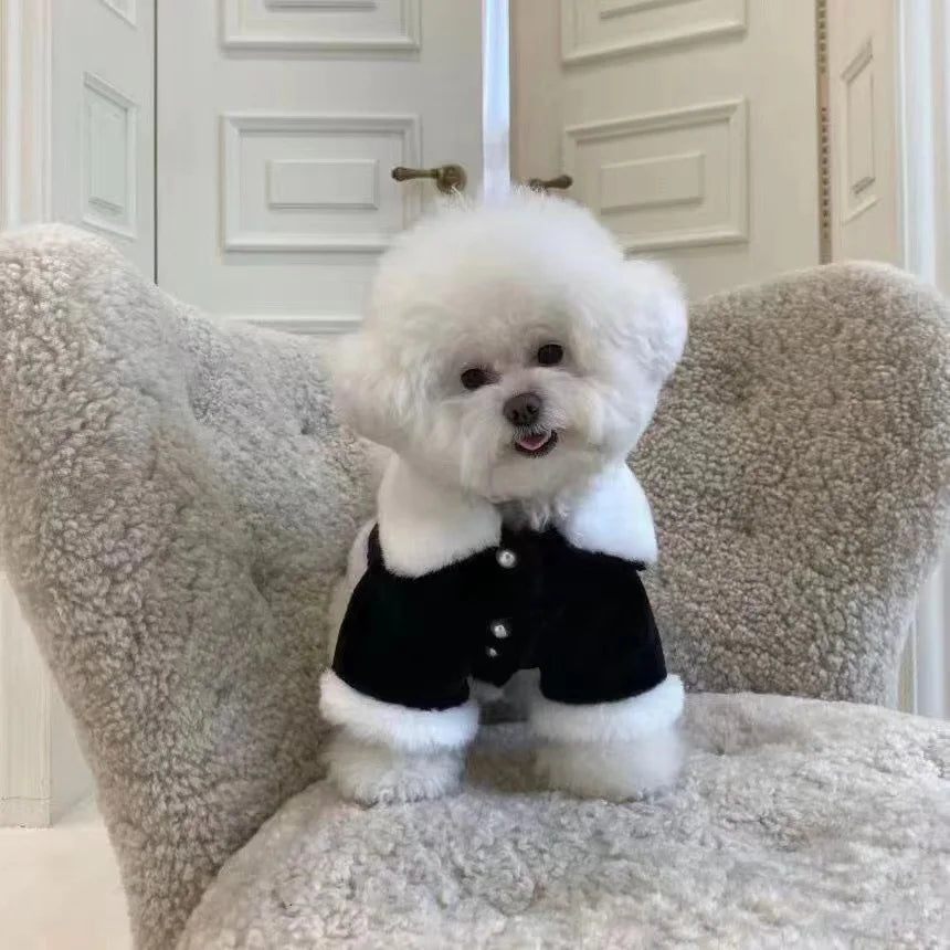 Cat Dog Pet Winter Clothes Plush Coat  Schnauzer Bear Cottonteddy Cotton Jacket Puppy Clothes Designer Dog Clothes