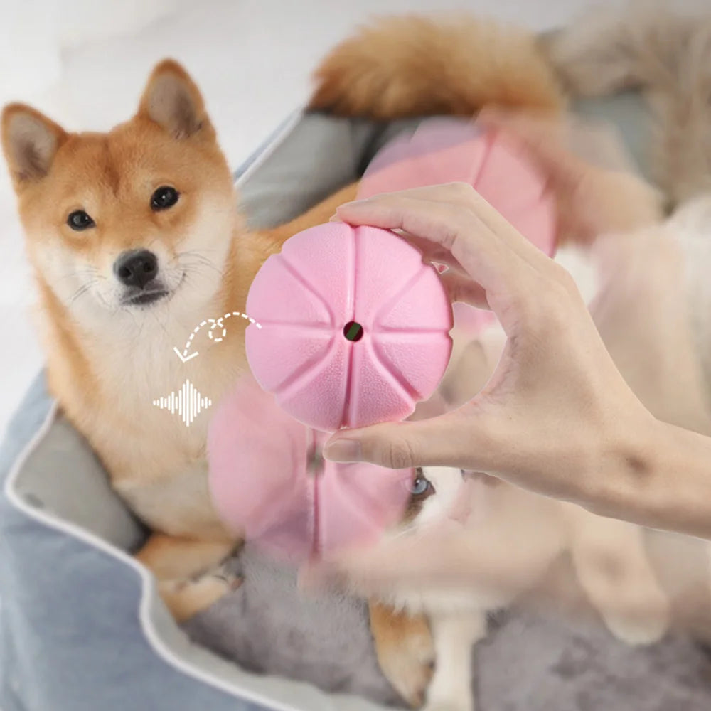 Dog Chew Toys - Interactive Squeaky Ball with Leakage Function for Teeth Cleaning & Boredom Relief, Durable TPR Material,